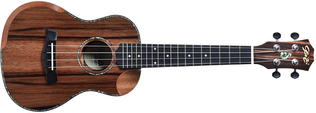 Qual ukulele comprar? Dicas para iniciantes Melhor Custo X Benefício 6