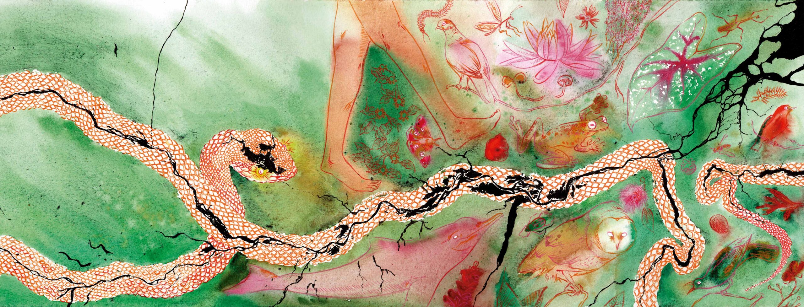 Capa do livro ilutração de luíza costa - capa do livro lendas amazônicas de waldemar Henrique para transcrições para canto e violão Lendas Amazônicas de Waldemar Henrique